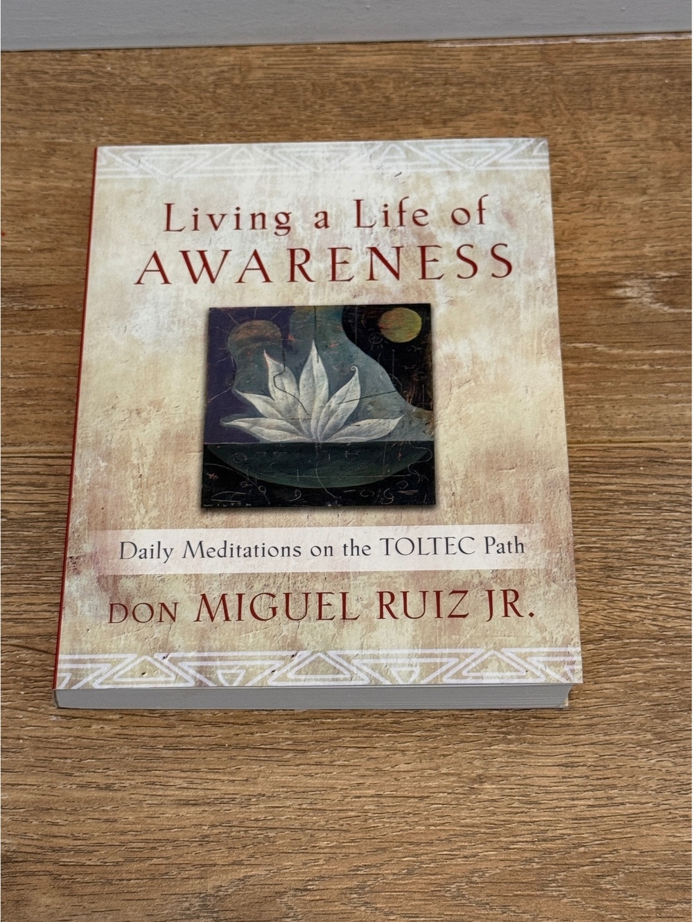 Living a Life of Awareness: Daily Meditations on the TOLTEC Path by Don Miguel
